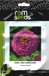 Zinnia Çiçek Tohumu (Kirli Hanım Çiçeği) - Zınnıa (~ Takribi 25 Tohum) - 1