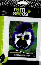 Hercai Menekşe Çiçek Tohumu 2 - Vıola Trıcolor (~ Takribi 50 Tohum) - 2