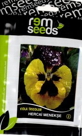 Hercai Menekşe Çiçek Tohumu 3 - Vıola Trıcolor - 2