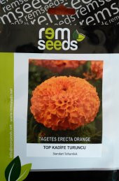 Top Kadife Çiçek Tohumu Turuncu Renk - Tagetes Erecta Orange (~ Takribi 50 Tohum) - 1