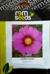 Kozmos - Cosmos (~ Takribi 25 Tohum) - 1