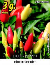 Biber Tohumu Biberiye - Batem Alpçelik - 3 G (~ Takribi 350 Tohum) - 1