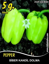 Biber Tohumu Kandil Dolma - 5 G (~ Takribi 400 Tohum) thumbnail 1