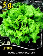 Marul Tohumu Arapsaçı 055 (Kıvırcık) - 5 G. (~ Takribi 2750 Tohum) - 1