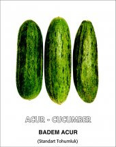 Acur Tohumu Badem - Tüylü 5 G. (~ Takribi 80 Tohum) thumbnail 2