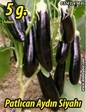 Patlıcan Tohumu Aydın Siyahı 55 - 5 G. (~ Takribi 650 Tohum) thumbnail 1