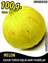 Kavun Tohumu Toros Kışlık 100 g - 1