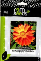 Portakal Nergisi Çiçek Tohumu Calendula Off. (Takribi ~25 Tohum) - 1