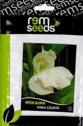 Kına Çiçeği Tohumu - 2- Impatıens Balsamına (~ Takribi 40 Tohum) - 1