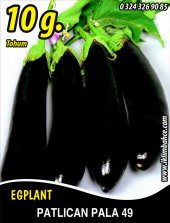 Patlıcan Tohumu Pala 49 - 10G (~ Takribi 1300 Tohum) thumbnail 1