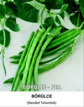 Börülce Tohumu Karagöz 86 - 50g - 1