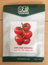 HİBRİT SIRIK TANE DOMATES TOHUMU - 10 ADET TOHUMLUK - 2