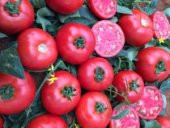 A-Z Tohum Domates Tohumu A-Z 16 F1 Oturak Tarla Domatesi - 20 Adet Tohumluk thumbnail 4