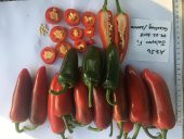 HİBRİT JALAPEN TİPİ BİBER TOHUMU - 20 ADET TOHUMLUK - 5