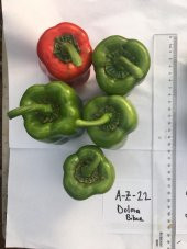 A-Z Tohum Biber Tohumu A-Z 22 F1 Dolma Biber - 20 Adet Tohumluk - 7
