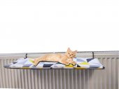 Kedi Yatagı Kalorifer Radyatör Kedi Yatagı 60cm x 30cm - 1