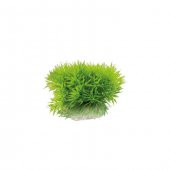 Akvaryum Plastik Bitki 5-6 Cm - 1