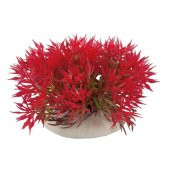 Akvaryum Plastik Bitki 5-6 Cm - 1