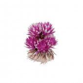 910075 Plastik Bitki 7Cm - 1