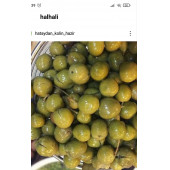Halhalı kırma zeytin (1,5 lik pet kavanoz) - 1