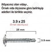 Rysb Apex Akıllı Matkap Uçlu Vidası Pul Başlı Vida  3.9 x 25 MM 100 Adet - 2