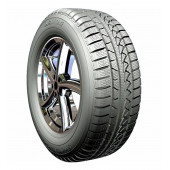 PETLAS KIŞLIK 205/50R17 93 V  SNOWMASTER W 651 2022 - 1