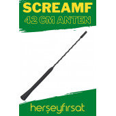 Oto 42 Cm Sport Araç Çubuk Anten - Siyah - 1
