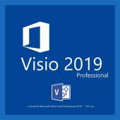 Visio Professional 2019 OEM Satın Al - 1