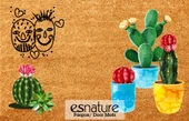 Esnature Kaktüs Desenli Kapı Önü Paspası 45x70 Cm - 4