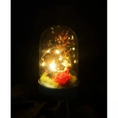 Tatlı Aşıklar Figürlü Işıklı Mavi Fanus Biblo​ - 3