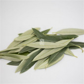 Kuru Zeytin Yaprağı (Bitki Çayı) - 25 Gr.- Kavanoz Görünümlü Kilitli Poşet - Kilitli Saklama Poşeti - 5