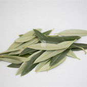 Yeni Mahsül Ayıklanmış Kuru Zeytin Yaprağı (Bitki Çayı) - 50 Gr. 1. Kalite (Yüksek Aroma) - 4