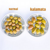 Ev Yapımı Geleneksel Kalamata İri Boy Yeşil Çizik Zeytin Palamut - 1 Kg. (Sadece Tuz ve Su İçerir) - 5