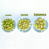 Ev Yapımı Geleneksel Kalamata İri Boy Yeşil Kırma Zeytin Palamut - 1 Kg. (Sadece Tuz ve Su İçerir) - 6