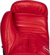 TOP TEN IBA (AIBA) Onaylı Boks Eldiveni - 12