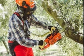 Echo Cs 2511 WES Motorlu Testere 2,6 kg - 3