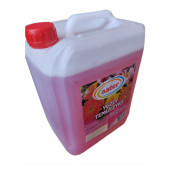 ASTER Yüzey Temizleyici 5 L. - 1