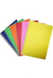 Çınar Defter Colormaxi Spiralli Plastik Kapak Kareli 72 YP A4 72/4 73002 - 2