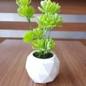 Beton Saksıda Yapay Masa Çiçeği 2 li Set - 5