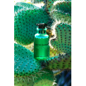 LOUİS VUİTTON CACTUS GARDEN 100ML UNİSEX PARFÜM - 1