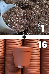 1 litre kaktüs sukulent yetiştirme toprağı ve 16 adet 5.5 cm kaktüs sukulent saksısı - 1