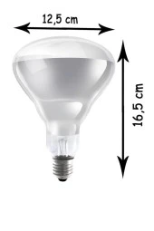 Ledvance 250W Infrared Şeffaf Ampul E27 - 6
