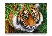 Star Oyun Kaplan Bakışı 500 Parça Puzzle - 2
