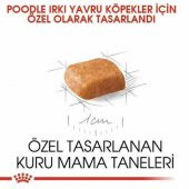 Royal Canin Poodle Yavru Köpek Maması 3 Kg - 2