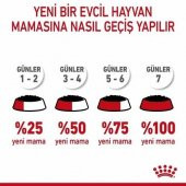 Royal Canin Kitten Yavru Kedi Yaş Maması 85 Gr 12 Li - 3