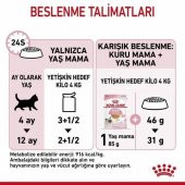 Royal Canin Kitten Yavru Kedi Yaş Maması 85 Gr 12 Li - 4