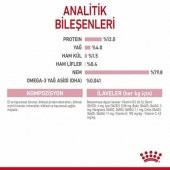 Royal Canin Kitten Yavru Kedi Yaş Maması 85 Gr 12 Li - 5