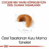 Royal Canin Cocker Yavru Köpek Maması 3 Kg - 2