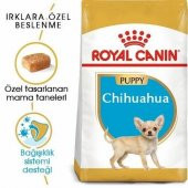 Royal Canin Chihuahua Yavru Köpek Maması 1.5 Kg thumbnail 3