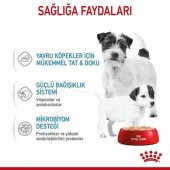 Royal Canin Starter Mother Babydog Yavru Köpek Konservesi 195 Gr 3 Lü - 2